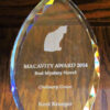 Macavity Award